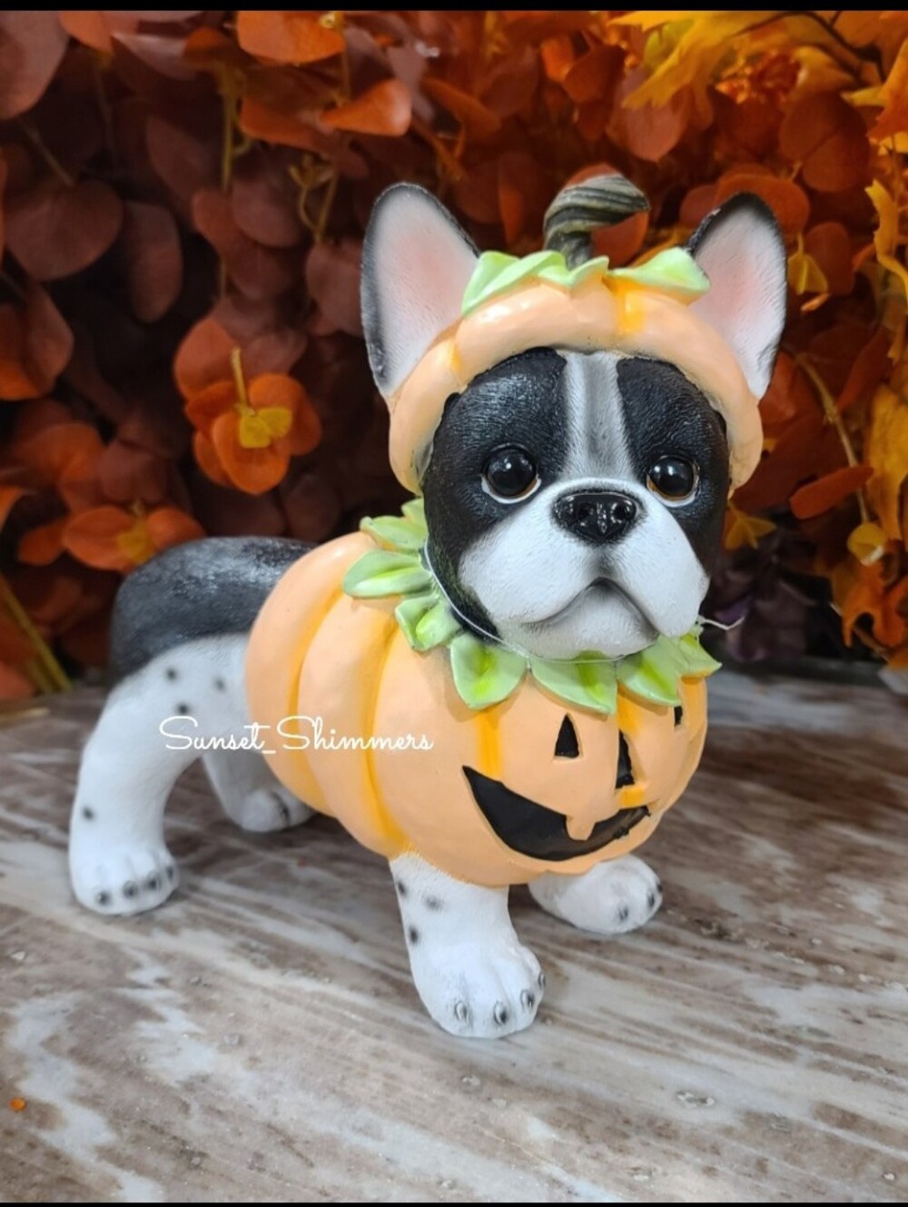 Frenchie French Bulldog Boston Terrier Halloween Pumpkin Costume Statue Decor